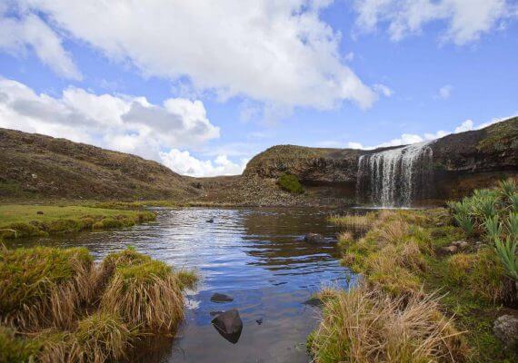 Bale National Park Tour