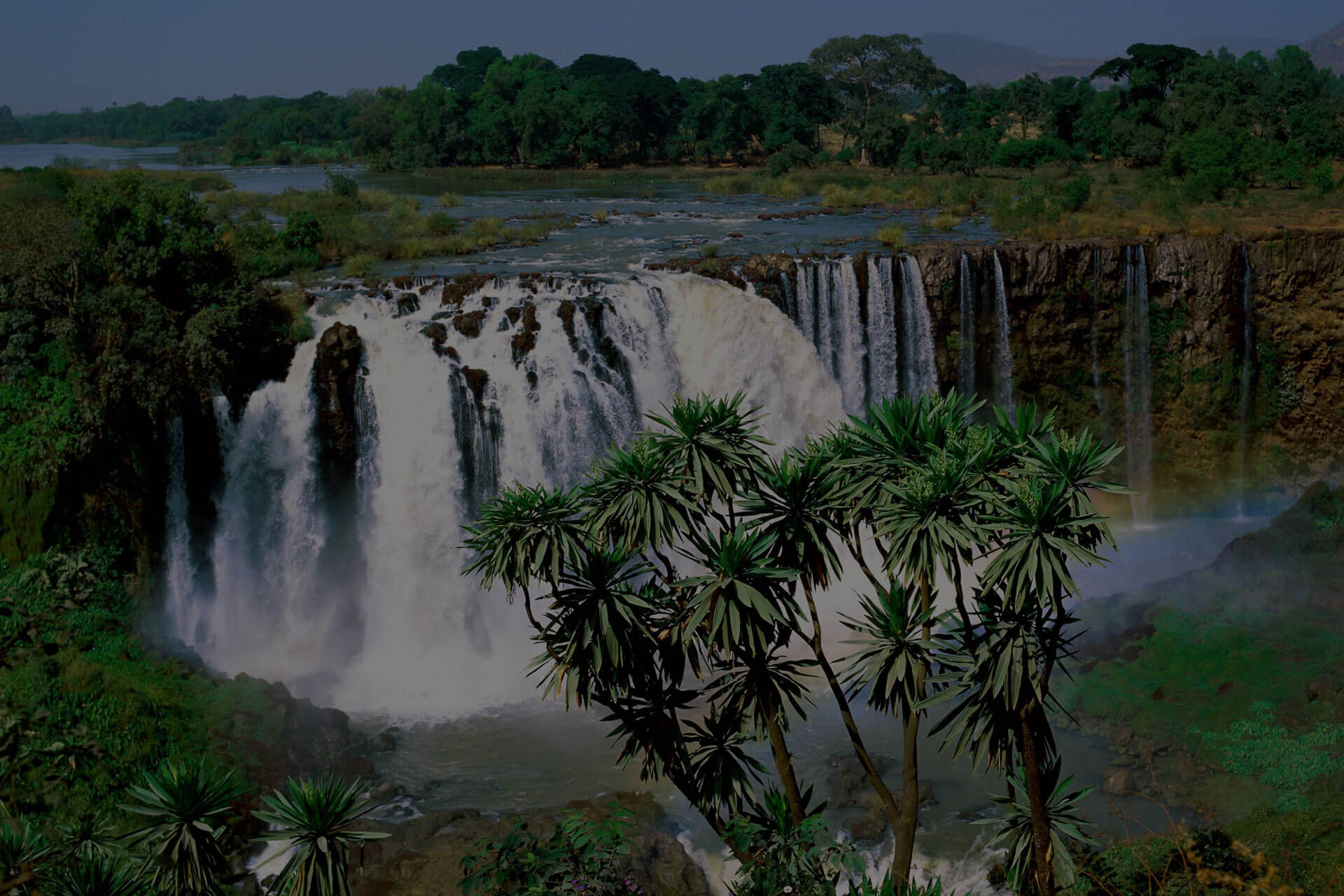 Blue Nile