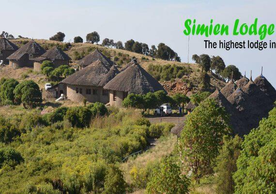Simien Lodge